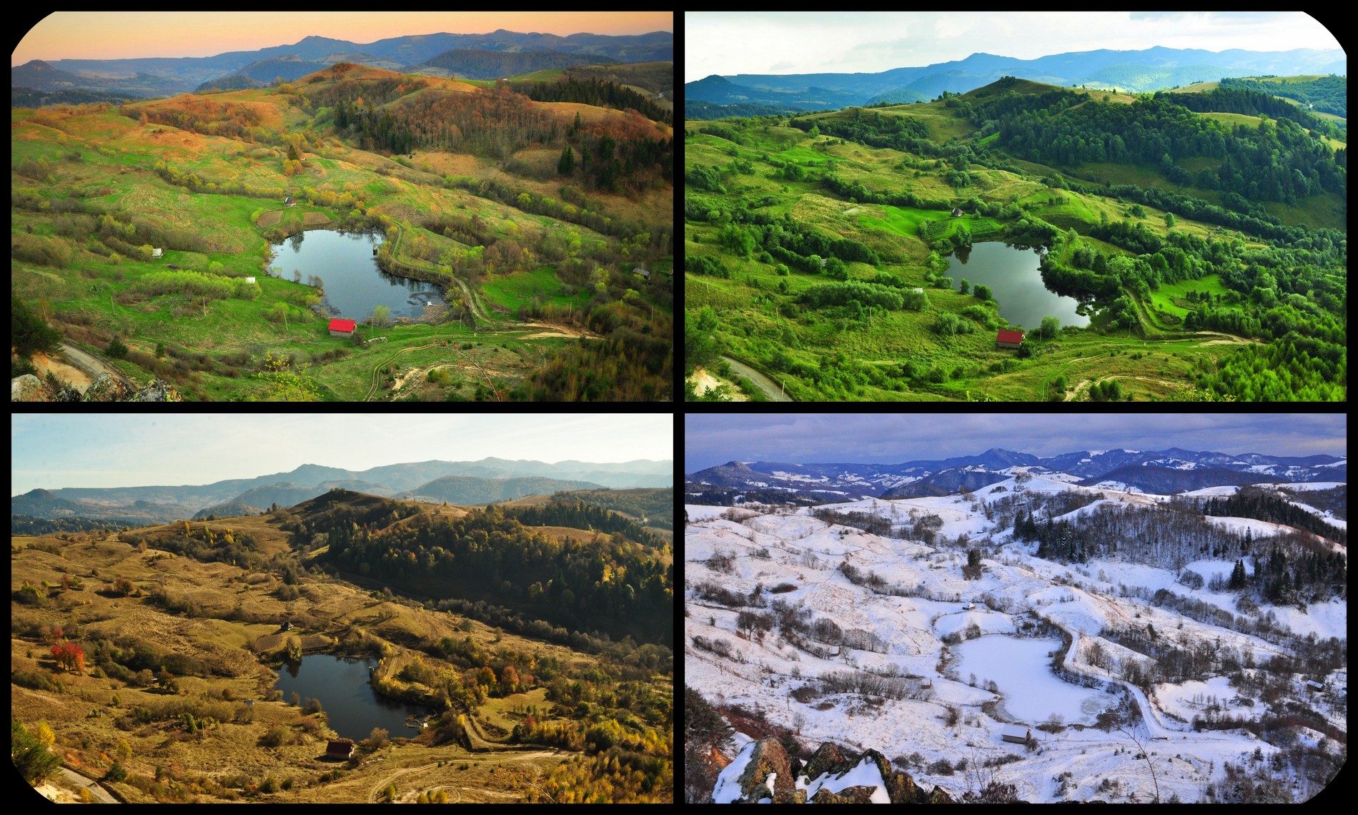 Pentru toți cei ce țineți magia în viață