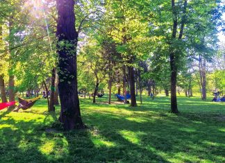 Strategia verde a Clujului, consultări publice și dezbateri organizate de Clujul Sustenabil