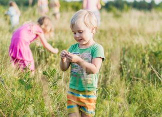 Producătorii locali clujeni asociați sub marca ROA organizează primul lor brunch, dedicat familiei și copilăriei