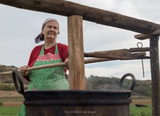 Festivalul Silvoiței 2021, la Vultureni, județul Cluj, între 25-26 septembrie