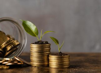 Cine poate obține finanțare pentru centrale fotovoltaice prin PNRR?