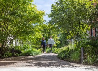 Micro-păduri urbane, cel mai de interes proiect propus în cadrul bugetării participative la Cluj