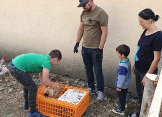 CERT-Transilvania: rezultatele proiectului social “Oul sau Găina?”, derulat în beneficiul familiilor nevoiașe din Apuseni