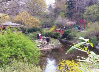 Grădina Botanică „Alexandru Borza” din Cluj-Napoca a înregistrat un număr record de vizitatori în 2022