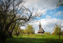 Peste 111.000 de vizitatori la Muzeul Etnografic al Transilvaniei în 2025