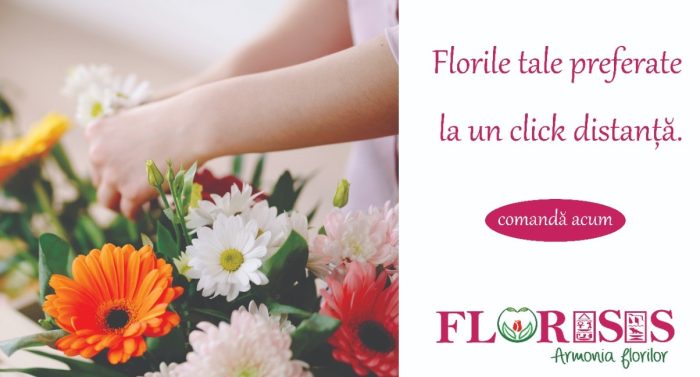 florisis-florarie-cluj