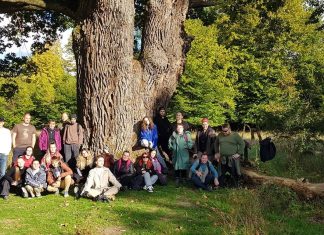 România va avea o lege de protejare a arborilor remarcabili, la care au contribuit și specialiștii UBB Cluj