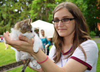 USAMV Cluj lansează un program de licență pentru studiul comportamentului animalelor