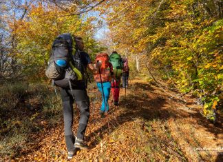 Parteneriat pentru un mediu mai curat între Clubul Alpin Român Filiala Cluj și Consiliul Județean Cluj