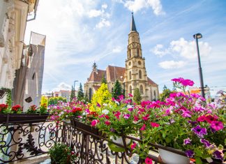 A fost lansată ediția a VII-a „Clujul cu flori”, concursul de înfrumusețare a orașului cu flori