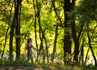 Festivalul fără risipă, Zaiafet pe Lună, își va desfășura a II-a ediția în perioada 28-30 iulie