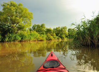 Tură inedită de explorare a Deltei Florești ocazionată de Someș Delivery Florești (FOTO)