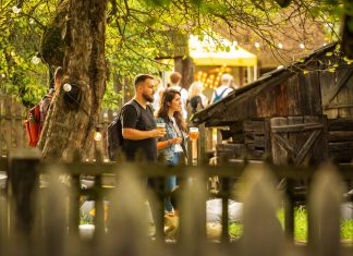 Jazz in the Park 2023 e gata de start. Vezi programul festivalului.