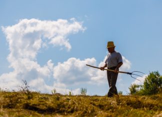 Programul vernisajelor organizate prin proiectul România Remarcabilă în 5 sate din Transilvania
