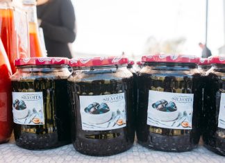 Ediția 2023 a Festivalului Silvoiței din Vultureni, județul Cluj, are loc în perioada 23-24 septembrie