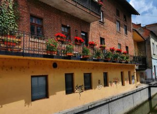 11 proiecte florale premiate la cea de-a șaptea ediție „Clujul cu flori”