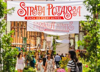 Strada Potaissa – Piața de flori altfel 2024: “Cea mai mică stradă, cea mai mare comunitate”