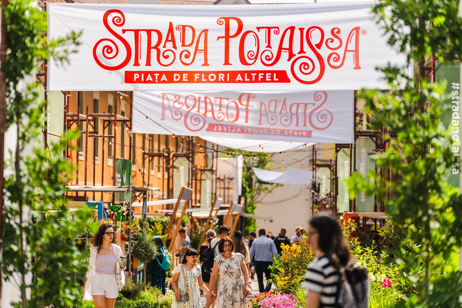 Strada Potaissa Piața de flori altfel 2024 "Cea mai mică stradă, cea