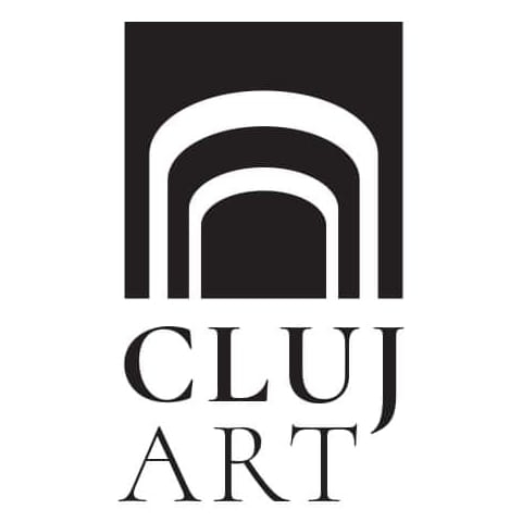cluj-art-1