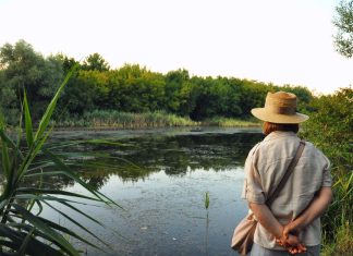 Parcul Est în devenire: Tur ghidat prin cel mai mare parc urban al Clujului (FOTO)