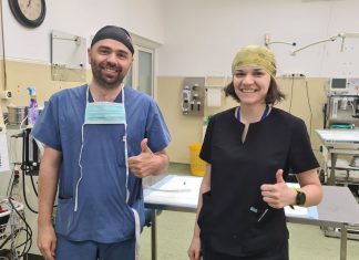 USAMV Cluj organizează un eveniment de sterilizare gratuită la câini și pisici în data de 5 iulie