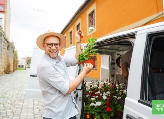 Centrul Verde 2024 aduce flori pe străzile Clujului: prima livrare a fost pe Strada Potaissa (FOTO)