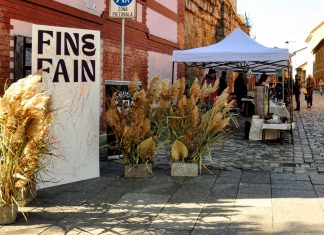 Prima ediție a evenimentului “FINE FAIN” aduce arta și gastronomia în centrul Clujului, pe Potaissa