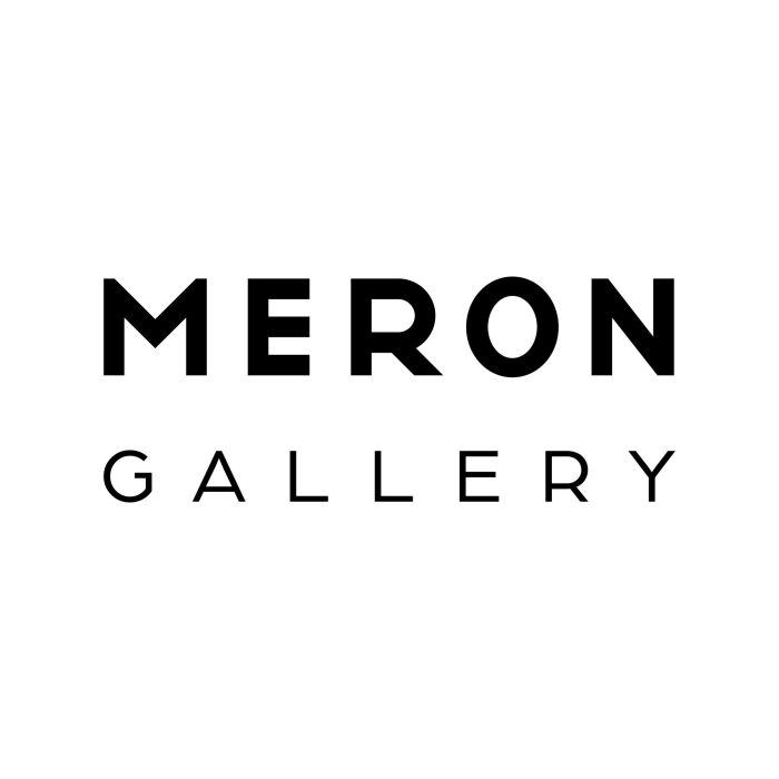 Meron Gallery – Galerie de Arta Cluj