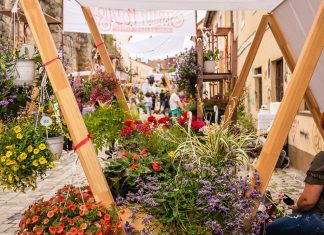 Strada Potaissa din Cluj se transformă din nou în „Piața de flori altfel” – ediția #9
