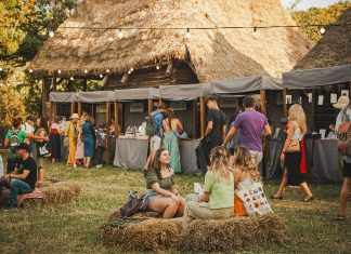 IARMAROC la Sat 2025: 3 zile de muzică, creație și voie bună în Parcul Etnografic din Cluj