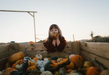 Pumpkin Hill, primul parc de distracții din țară dedicat dovlecilor, și-a redeschis porțile la Cluj