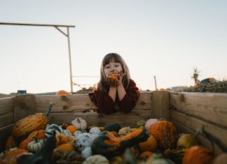 Pumpkin Hill, primul parc de distracții din țară dedicat dovlecilor, și-a redeschis porțile la Cluj