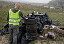 Ziua de Curățenie Națională 2025: în județul Cluj s-au colectat 35 de tone de deșeuri și s-au plantat perdele forestiere la Pata Rât