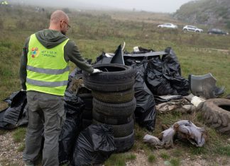 Ziua de Curățenie Națională 2025: în județul Cluj s-au colectat 35 de tone de deșeuri și s-au plantat perdele forestiere la Pata Rât