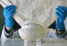 11 antreprenori din regiunea Nord-Vest, în primul pilot de matchfunding din România