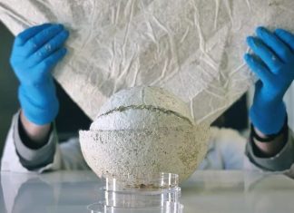 11 antreprenori din regiunea Nord-Vest, în primul pilot de matchfunding din România