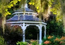 Foișorul care schimbă atmosfera curții: ce tipuri de modele din lemn poți alege pentru spațiul tău exterior
