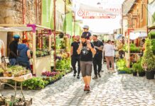 Strada Potaissa se transformă din nou în „Piața de flori altfel”. Ediția aniversară aduce patru zile de natură, artă și comunitate în centrul Clujului