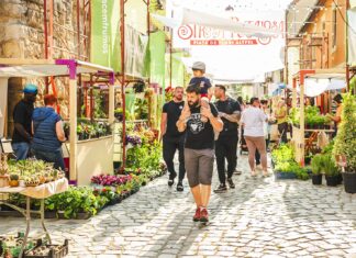 Strada Potaissa se transformă din nou în „Piața de flori altfel”. Ediția aniversară aduce patru zile de natură, artă și comunitate în centrul Clujului
